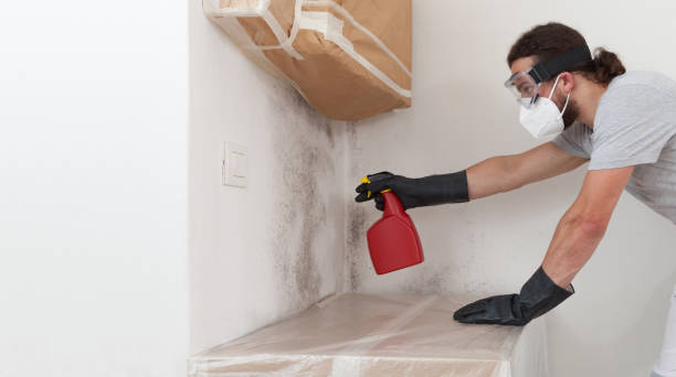 Professional Crawl Space Mold Remediation technician working in Saint Charles, IL